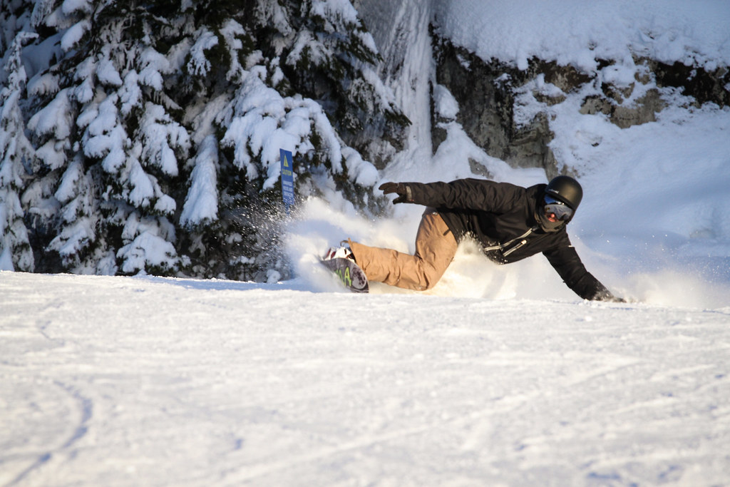 Thirtytwo Large Department Stores -Thirtytwo Large Department Stores 728